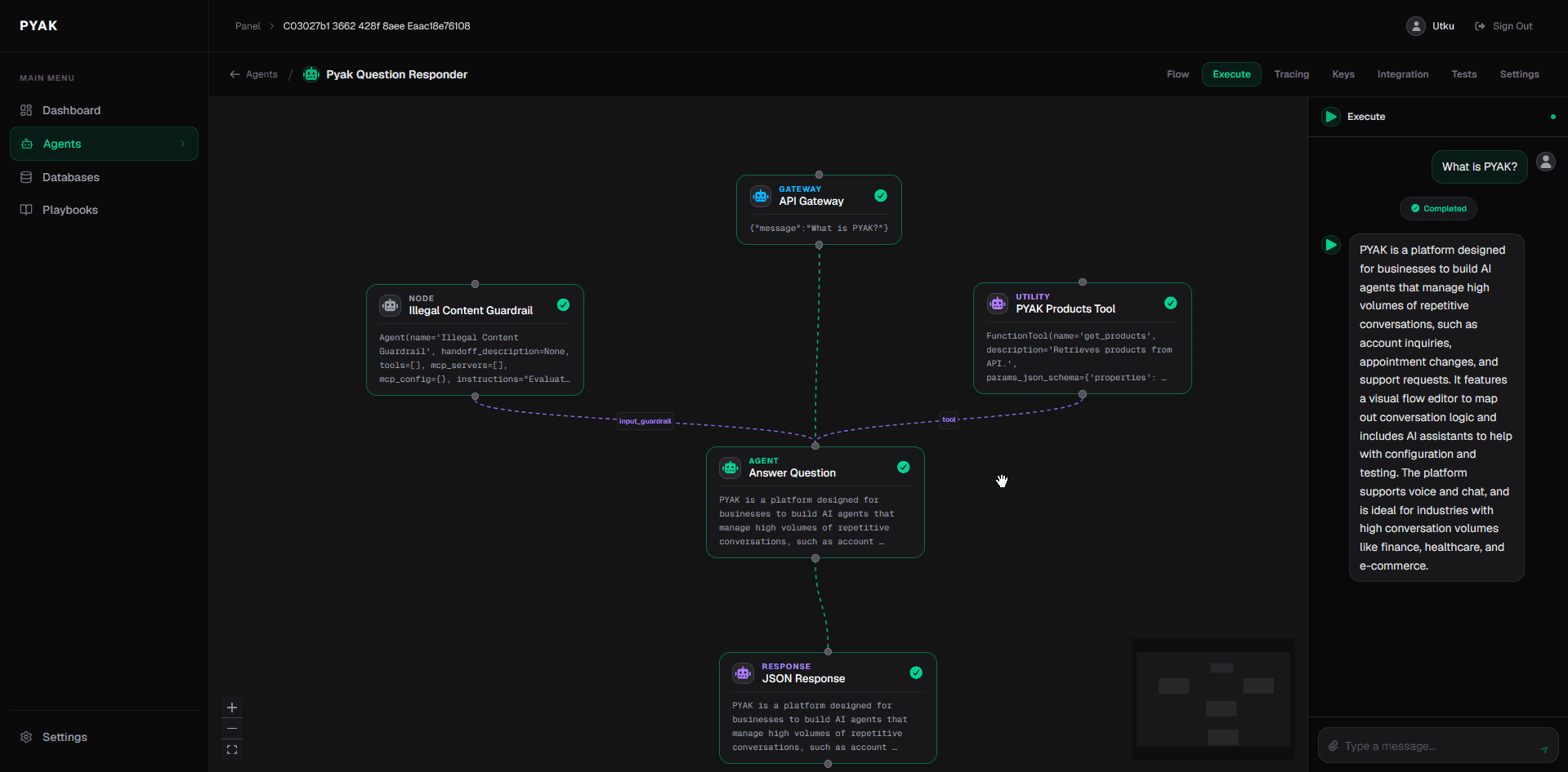 Pyak execute view: testing an agent in the editor